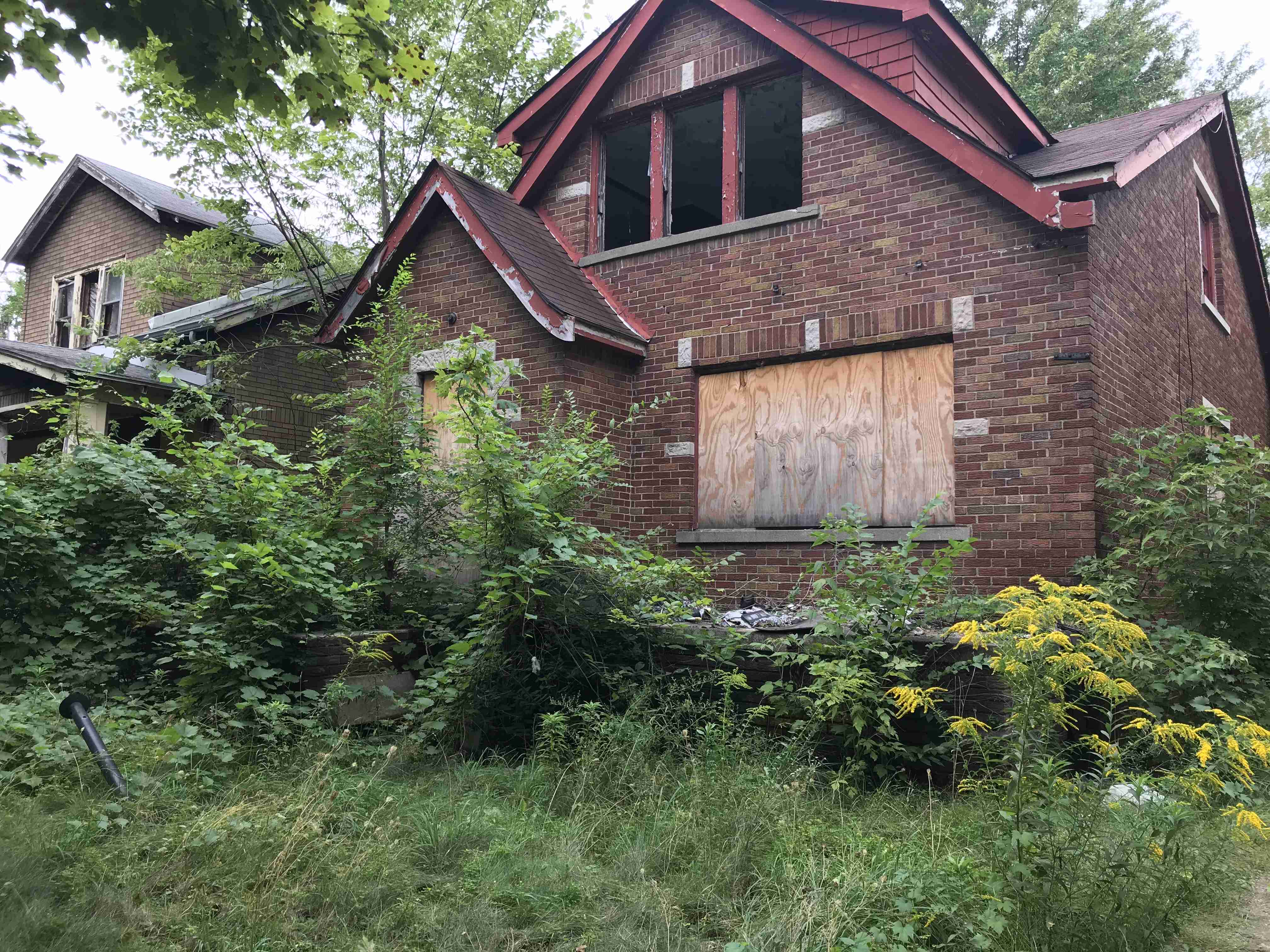 Photo Sep 10, 2 05 20 PM (1).jpg